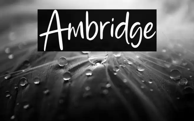 Ambridge フォント examples