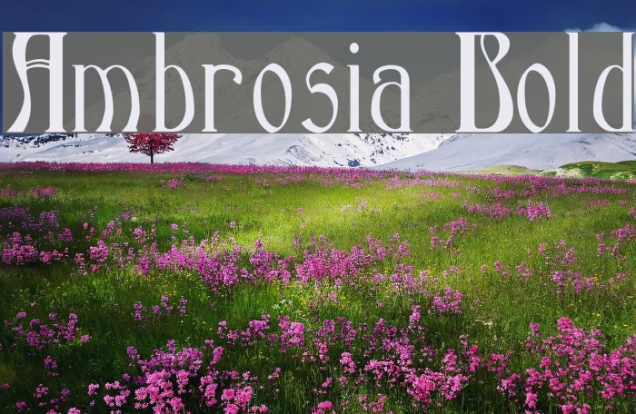 Ambrosia Bold Example 3