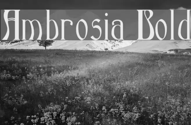 Ambrosia Bold Font examples