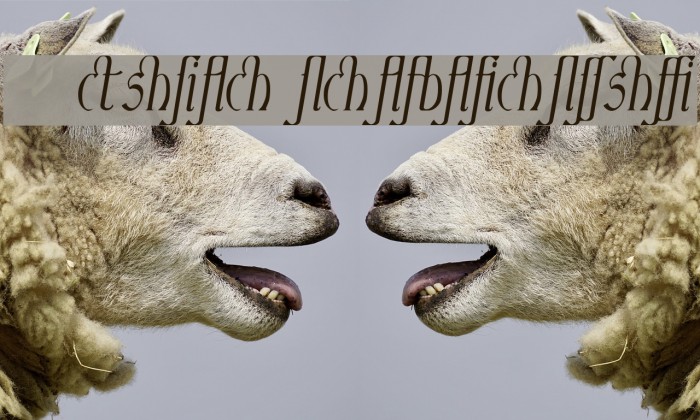 Ambrosia ItalicLigature Font examples