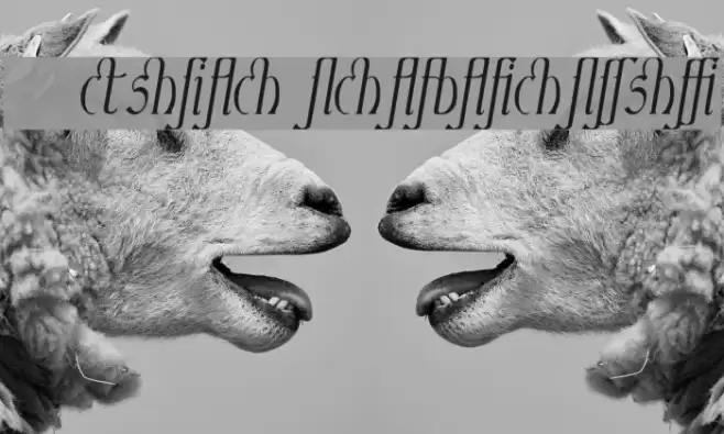 Ambrosia ItalicLigature Font examples