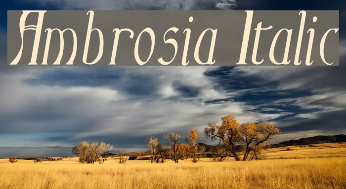 Ambrosia Italic Font examples