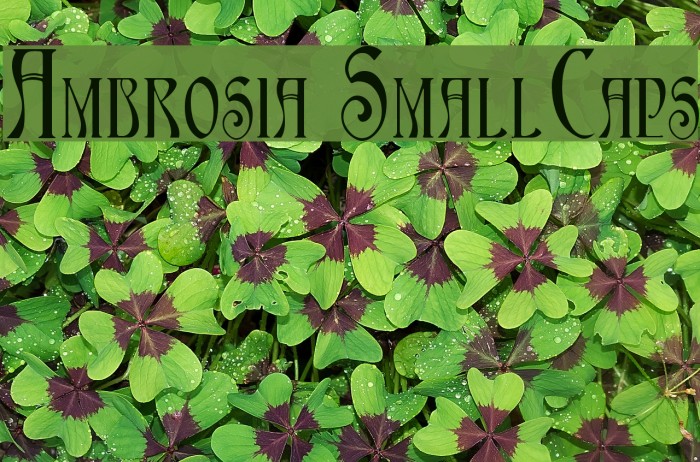 Ambrosia SmallCaps Example 1
