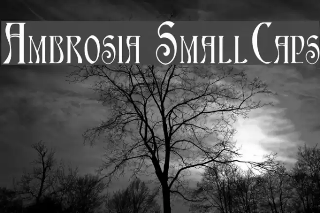 Ambrosia SmallCaps Font examples