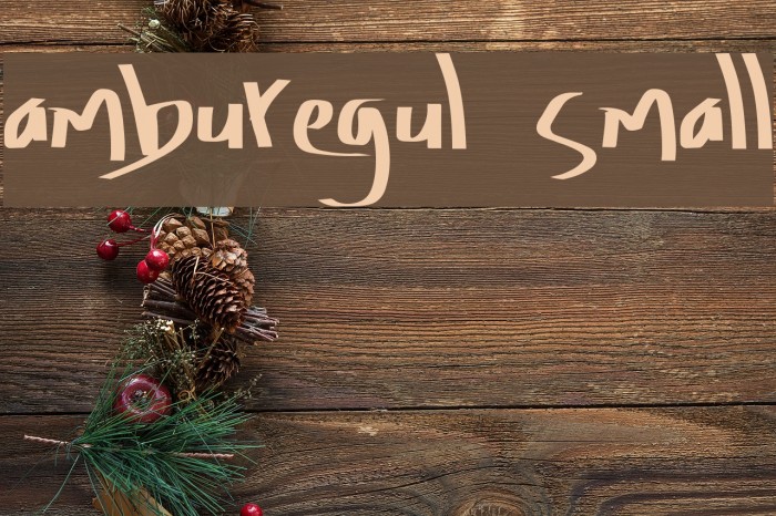 Amburegul Small Font examples
