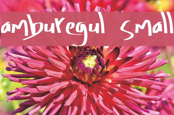 Amburegul Small Font examples