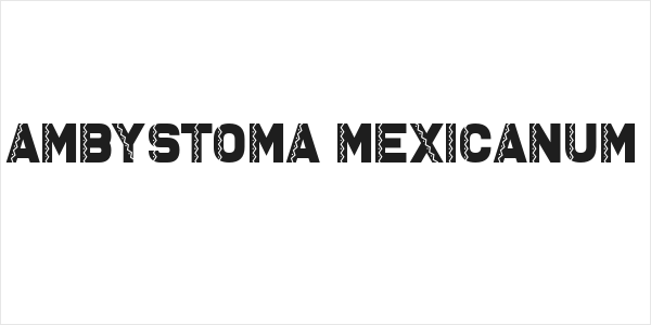 Ambystoma Mexicanum Logo
