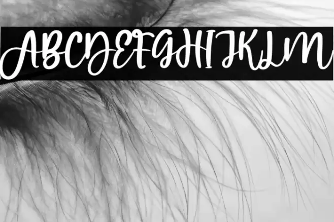 Amekanu Font examples