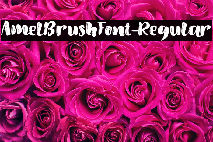 AmelBrushFont-Regular Example 3