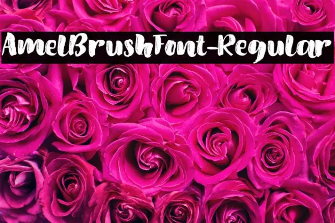 AmelBrushFont-Regular Example 3