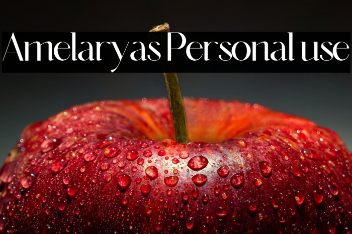 Amelaryas Personal use Example 1