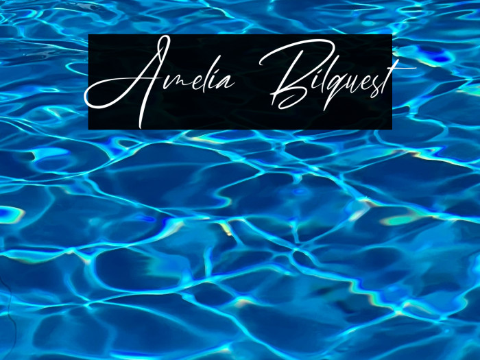 Amelia Bilquest Example 1