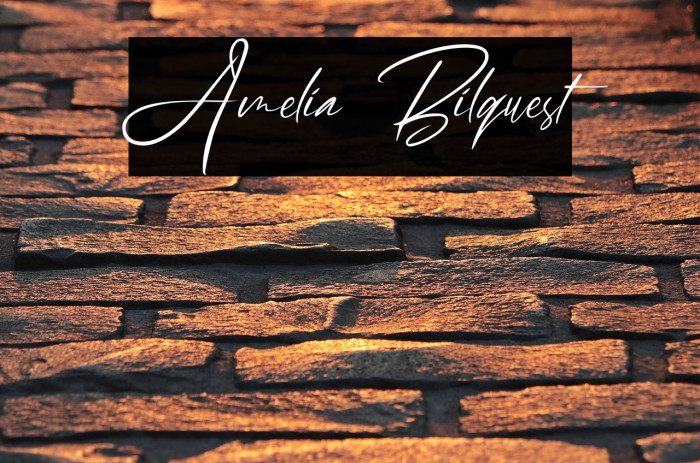 Amelia Bilquest Example 2