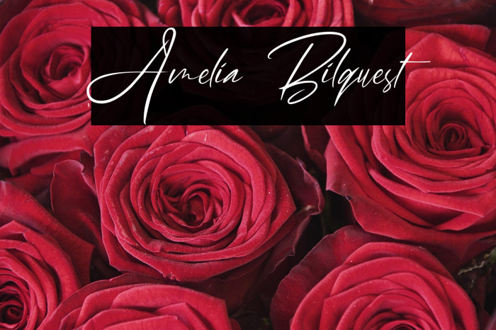 Amelia Bilquest Example 3