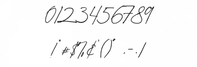 Amelia Bloomer Font OTHER CHARS