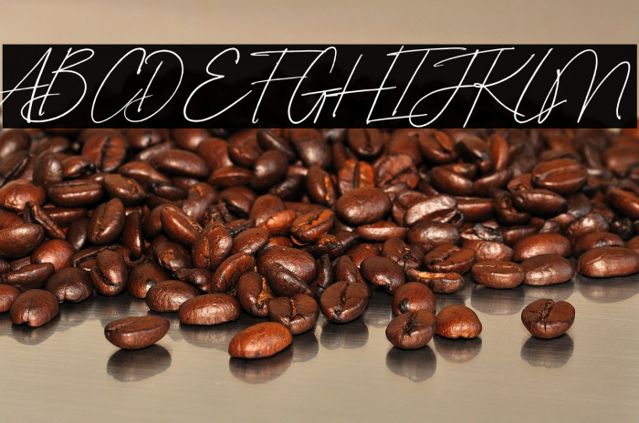 Amelia Bloomer Example 3