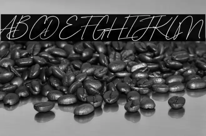 Amelia Bloomer Font examples