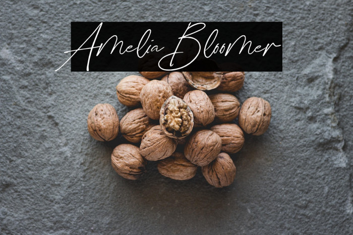 Amelia Bloomer Example 2