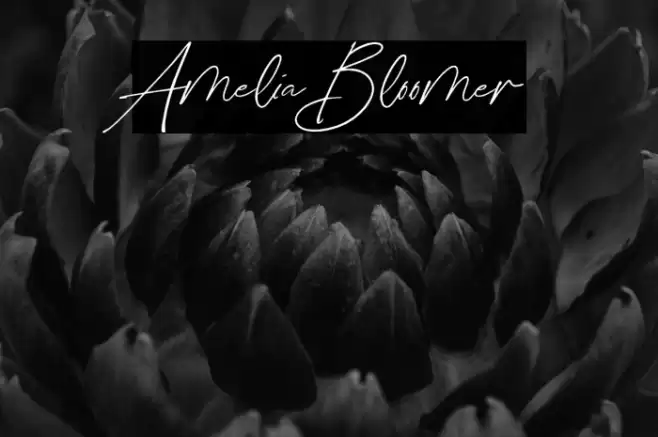 Amelia Bloomer Font examples