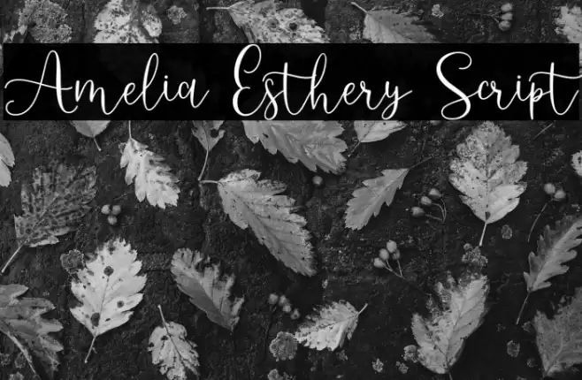 Amelia Esthery Script Font examples