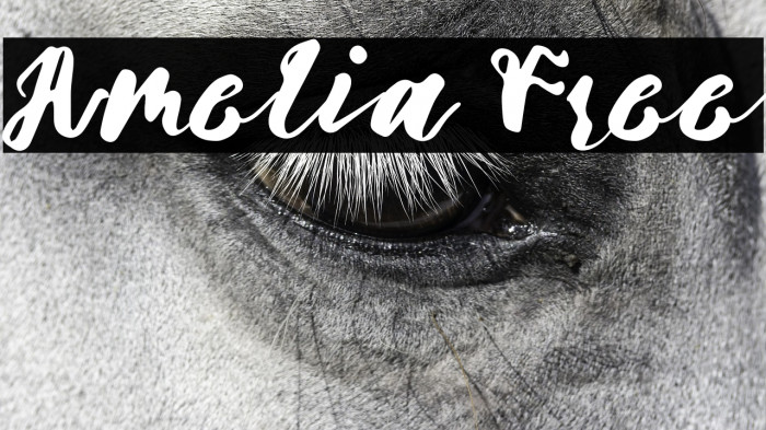 Amelia Free Example 1