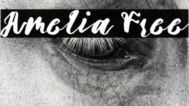 Amelia Free Example 1