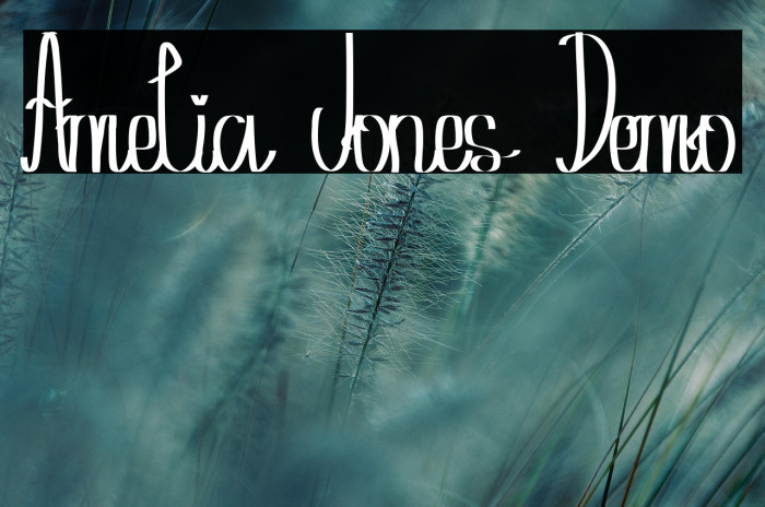 Amelia Jones Demo Example 2