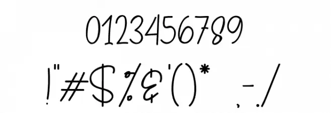 Amelia-Script Font OTHER CHARS