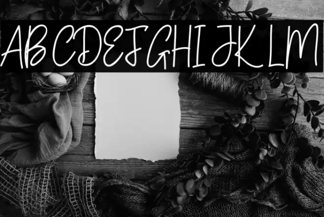 Amelia-Script Font examples