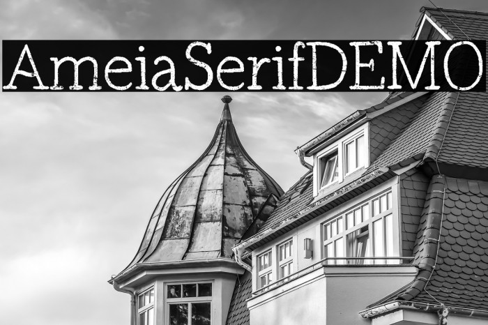 Amelia Serif DEMO Example 1
