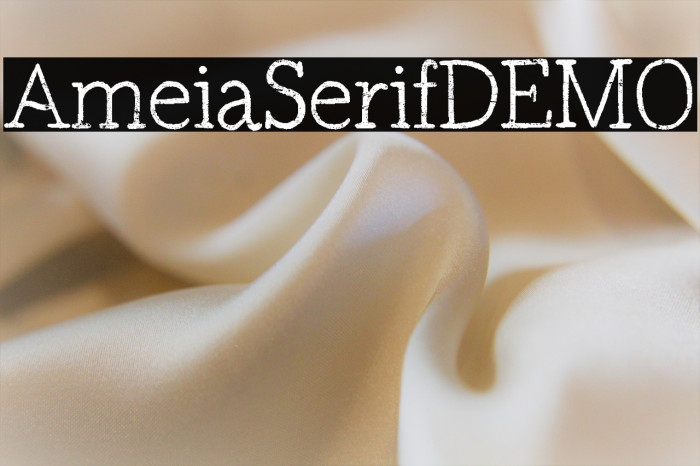 Amelia Serif DEMO Example 2