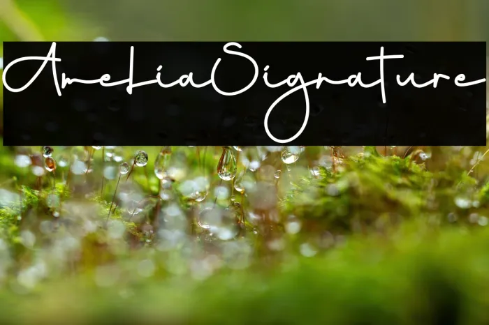 Amelia Signature Example 1