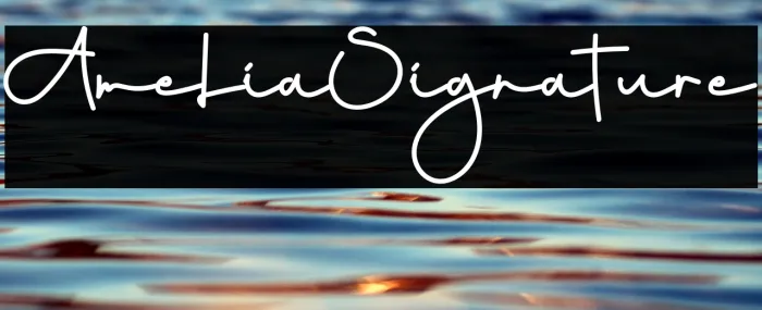 Amelia Signature Example 3