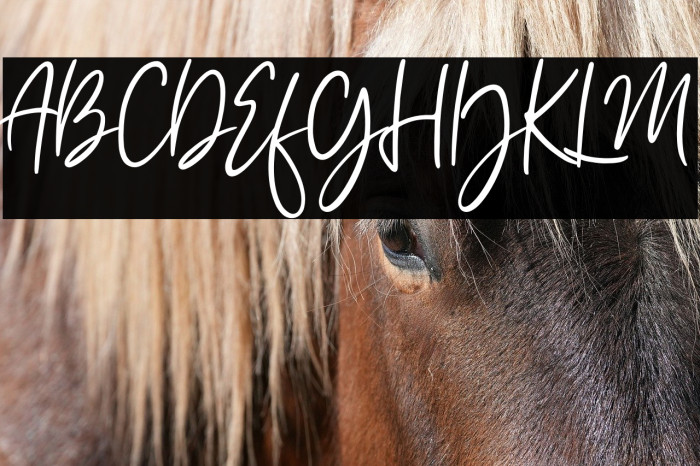 Amelia Sophia Example 2