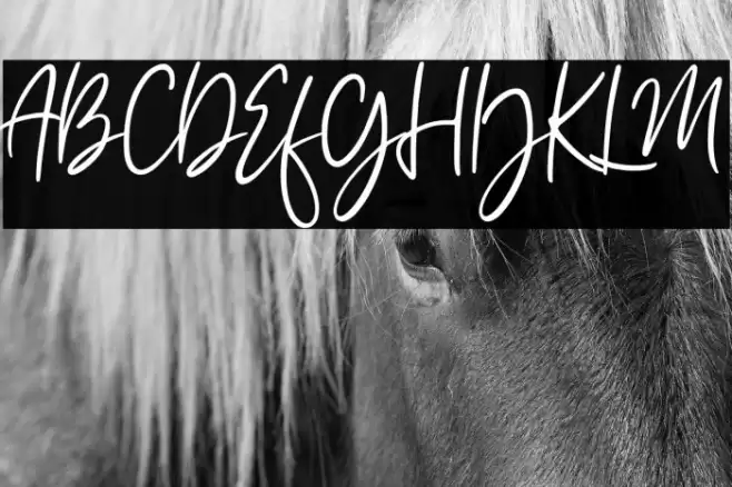 Amelia Sophia Font examples