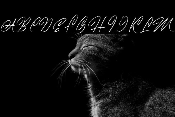 AmeliaBrightDemo Example 1