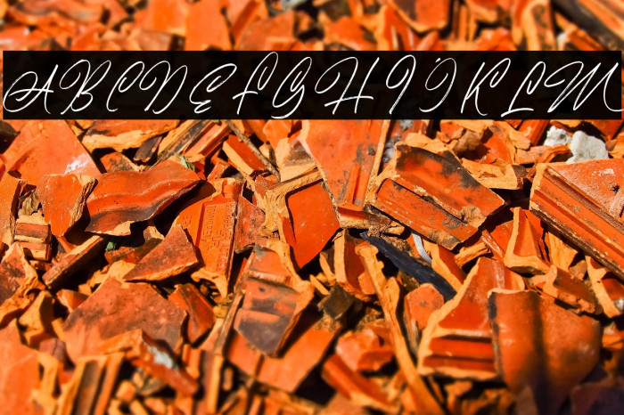 AmeliaBrightDemo Example 3