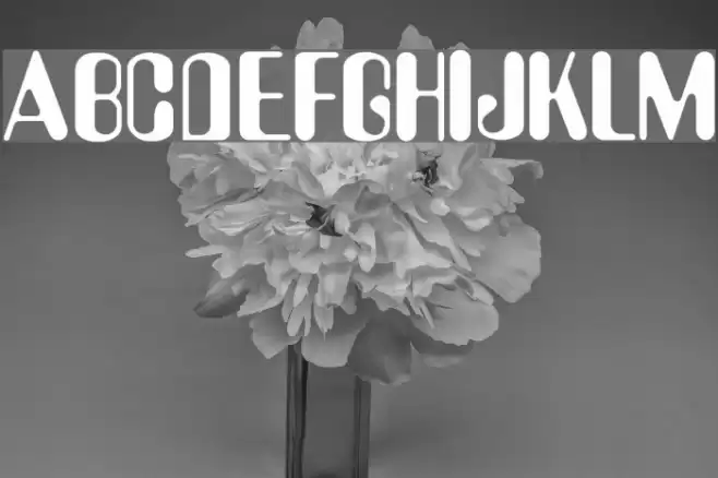 Amelia Font examples