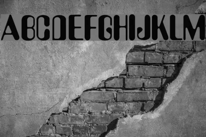 Amelia Font examples