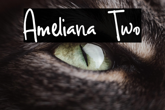 Ameliana Two Example 1