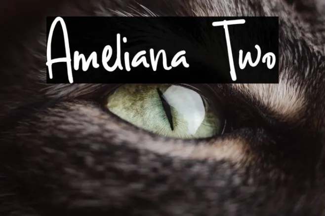 Ameliana Two Example 1