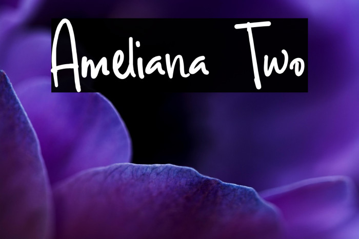 Ameliana Two Example 2