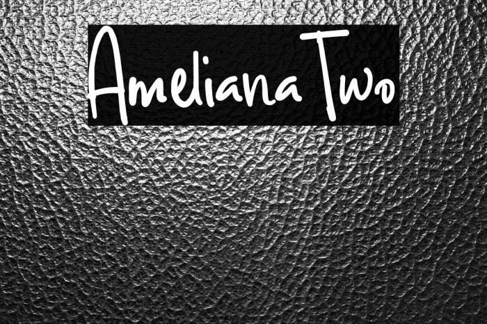 AmelianaTwo Example 1