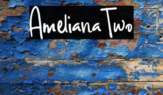 AmelianaTwo Example 3