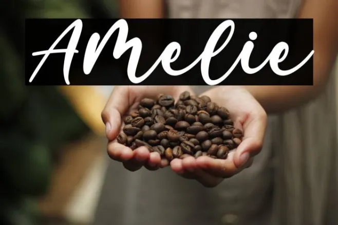 Amelie Example 3