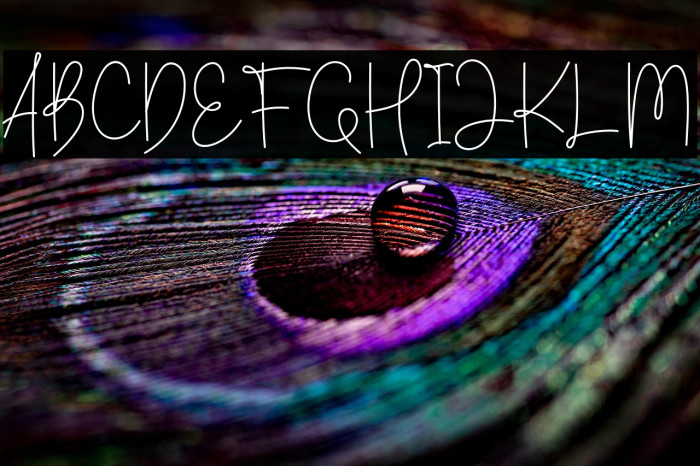 Amelin Secret Example 1