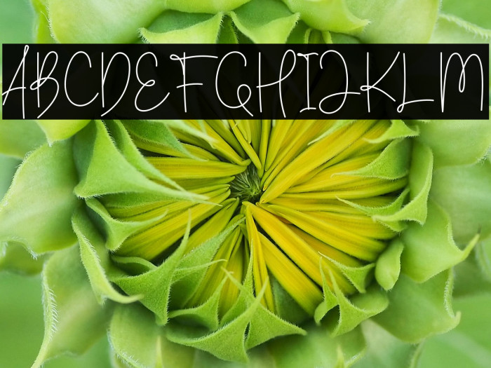 Amelin Secret Example 3