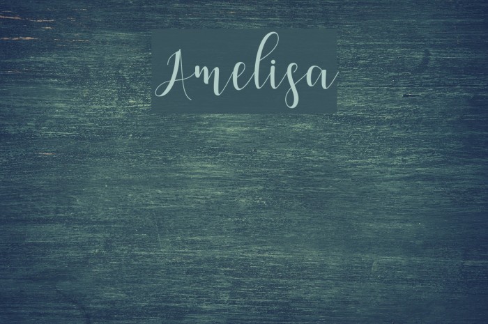 Amelisa Example 1