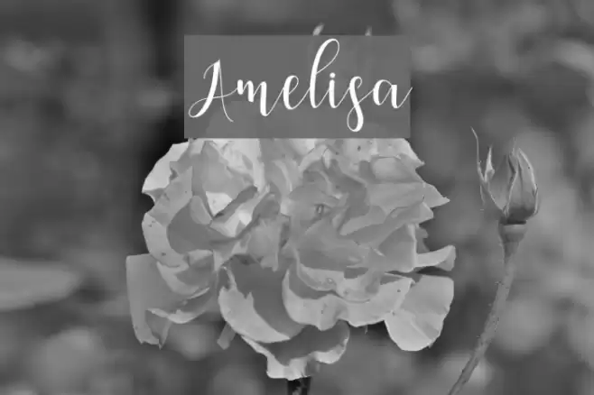 Amelisa Font examples