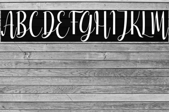 Ameliya Font examples